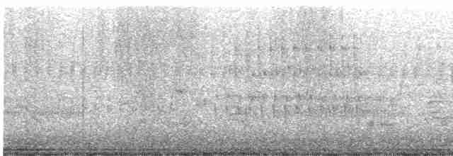 Troglodyte des marais - ML619547353