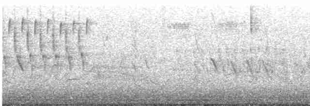 Troglodyte des marais - ML619547355