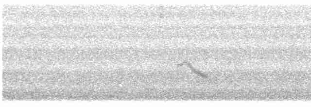 Gri Yanaklı Bülbül Ardıcı - ML619548527