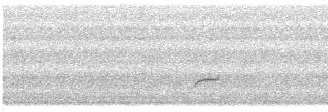 Дрізд-короткодзьоб Cвенсона - ML619548553