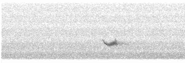 Sperlingsvogel, unbestimmt - ML619548593
