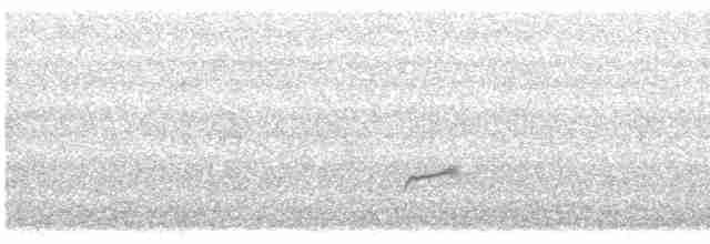 Дрізд-короткодзьоб Cвенсона - ML619548624