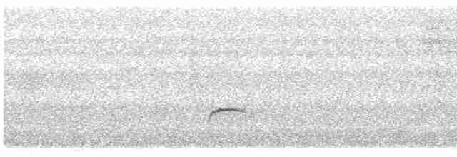Дрізд-короткодзьоб Cвенсона - ML619548625
