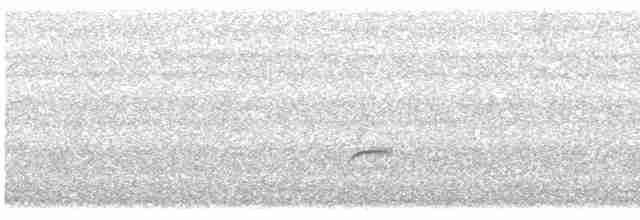 Дрізд-короткодзьоб Cвенсона - ML619548626