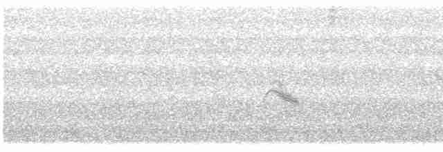 Дрізд-короткодзьоб малий - ML619548630