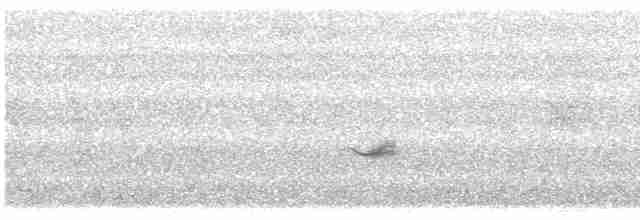 Дрізд-короткодзьоб бурий - ML619548639