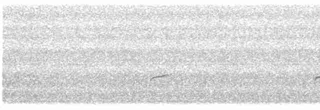 Дрізд-короткодзьоб Cвенсона - ML619548782