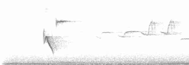 Spotted Towhee (oregonus Group) - ML619549168