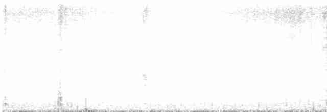 Шишкар ялиновий - ML619549289
