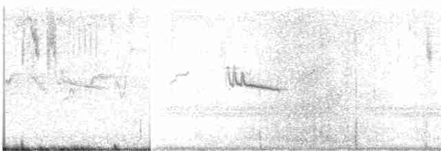 Graumantel-Brillenvogel - ML619549291