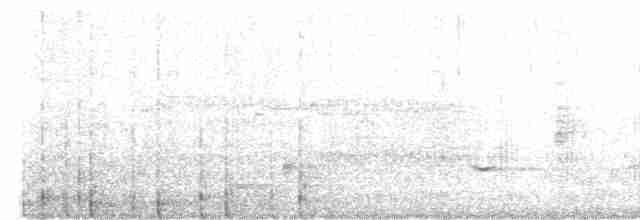 Cisne Trompetero - ML619549371