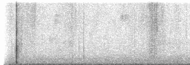 Длинноклювый пересмешник - ML619549450