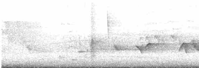 Kara Kanatlı Piranga - ML619549503