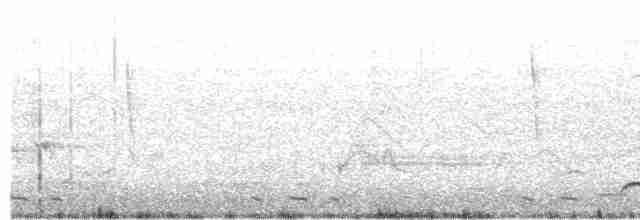 Black-billed Cuckoo - ML619549693