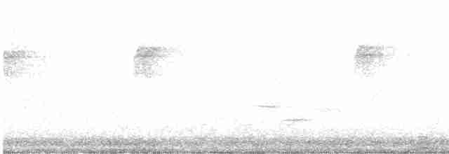 Common Yellowthroat - ML619549735