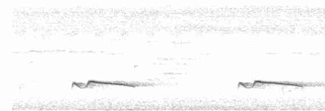 Gray-bellied Cuckoo - ML619549741