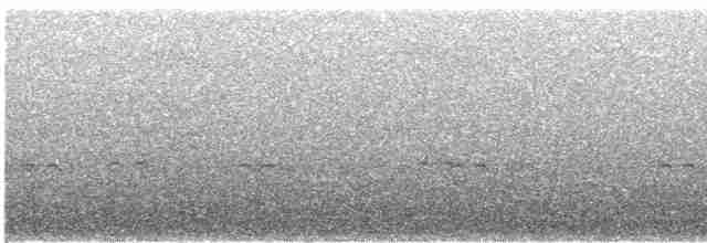 Grallaire du Tachira - ML619550147