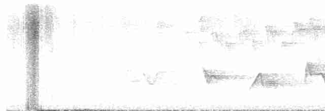 Піранга кармінова - ML619550535