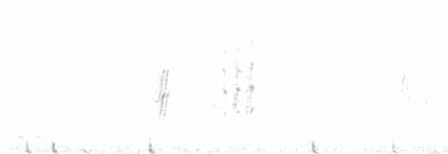 Rauchschwalbe (erythrogaster) - ML619550678
