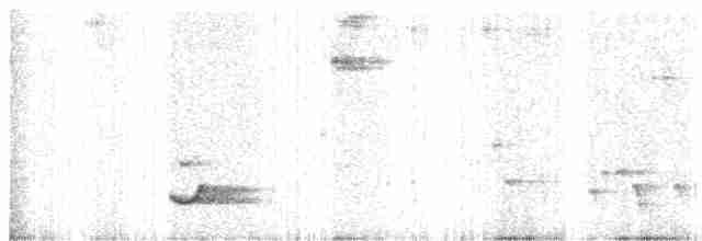 Дрізд-короткодзьоб Cвенсона - ML619550989