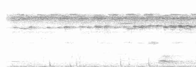 Kurum Suratlı Baykuş - ML619551562