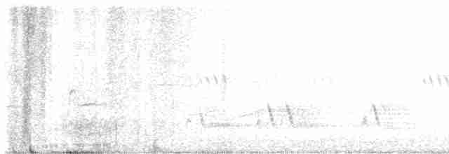 Тремблер прямодзьобий - ML619551578