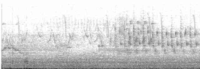 Troglodyte des marais - ML619552609