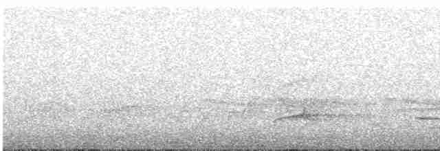 Бурый соловьиный дрозд - ML619552614