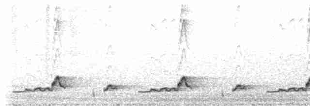 Schwarzkehl-Nachtschwalbe - ML619553122