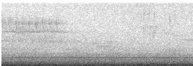 Малая воробьиная овсянка - ML619553537