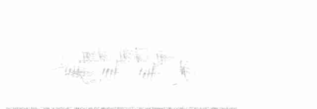Черногорлая хвойница - ML619554442