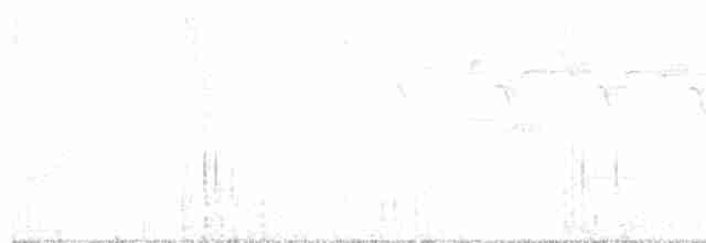 Трясогузковый певун - ML619554577