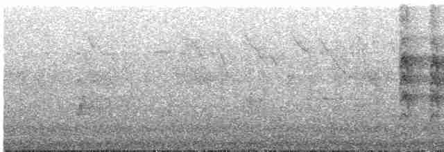 Висаянская веерохвостка - ML619554751