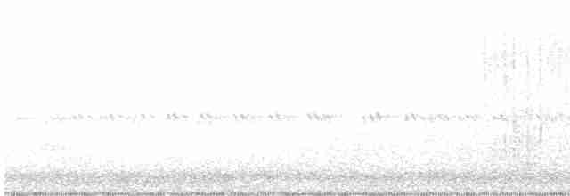 Buse noire (anthracinus/utilensis) - ML619554790