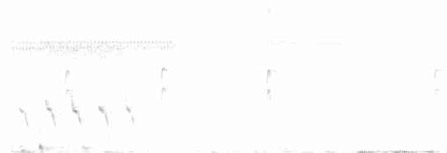 Соловьиная широкохвостка - ML619554883