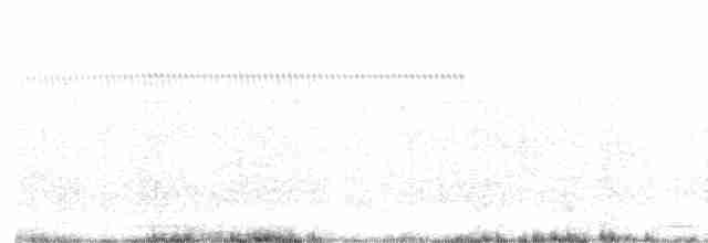 Соловьиная широкохвостка - ML619554886