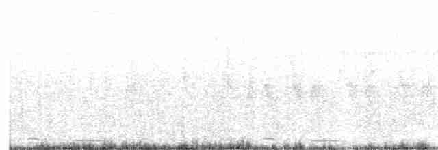 Common Cuckoo - ML619554998