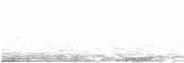 Тауї плямистий - ML619555240