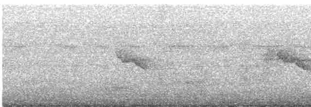 Zostérops à dos gris - ML619555495