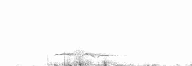 Зозуля білогорла - ML619555729