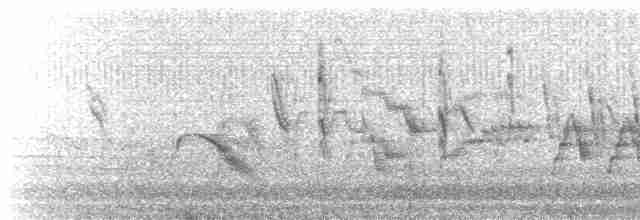 Gri Yanaklı Bülbül Ardıcı - ML619555947