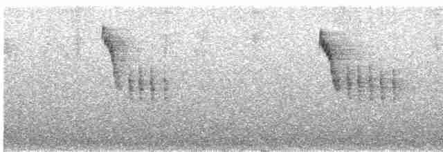 Troglodyte montagnard - ML619556035