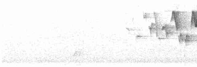 Troglodyte de Baird - ML619556385