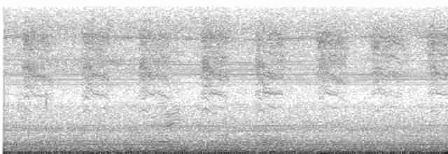 Braunaugenvireo (pusillus) - ML619556584