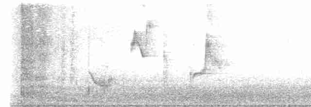 drozdec černohlavý - ML619557317