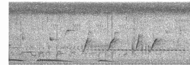 hrdlička kropenatá - ML619557651