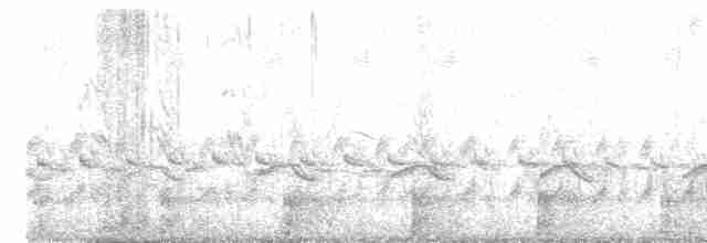 Pluvier petit-gravelot - ML619558178