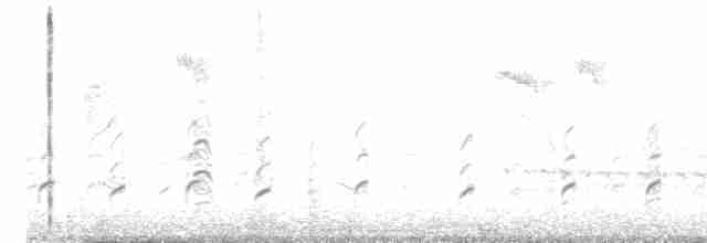 Échasse blanche - ML619558201
