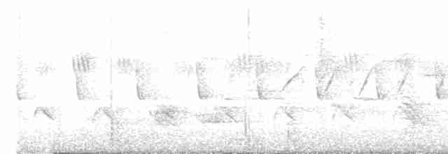 langhaleskredderfugl - ML619558360