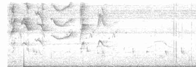 Turuncu Başlı Ardıç - ML619558540